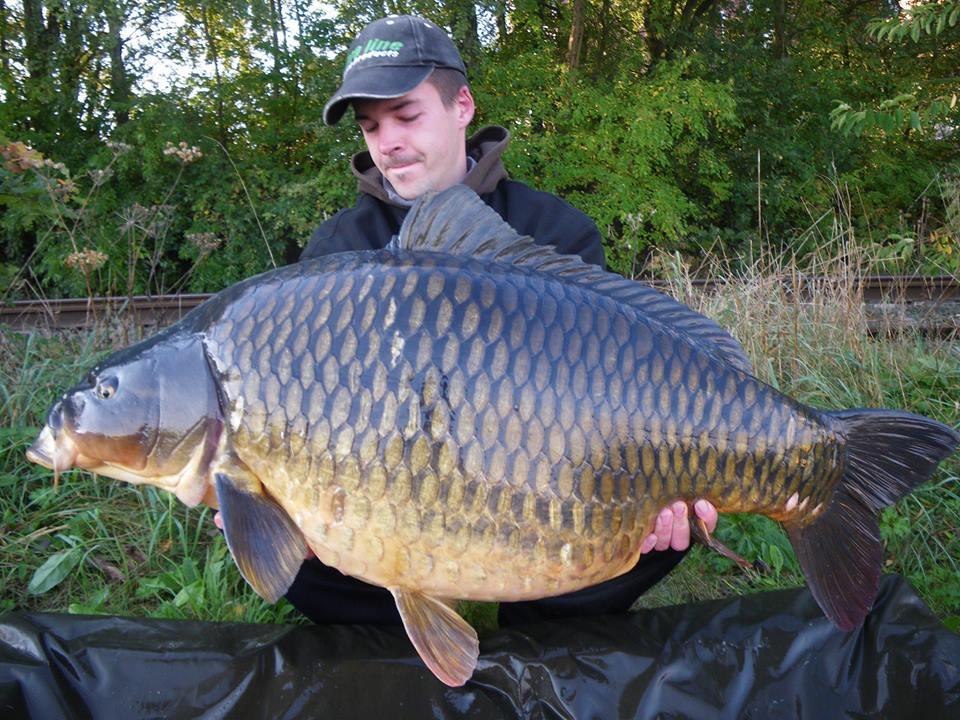 Dulapi - 946854436228116475510636641680n.jpg